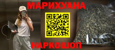 крисы Кингисепп