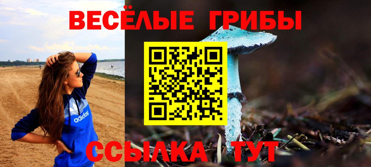 Обнинск  наркошоп  Галлюциногенные грибы GOLDEN TEACHER  Вход с VPN  Псилоцибиновые грибы Magic Shrooms 